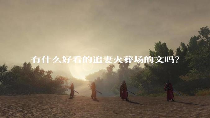 有什么好看的追妻火葬场的文吗？